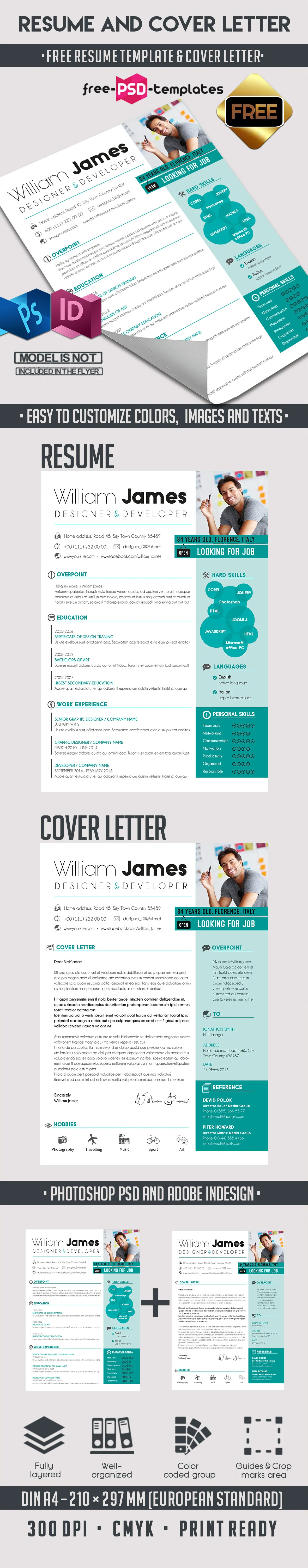 43290 infographic resume template