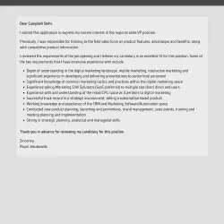 /img/43440-sales-vp-cover-letter-feedback.webp